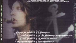 The Waterboys - Because the Night/Pan Within (Live)