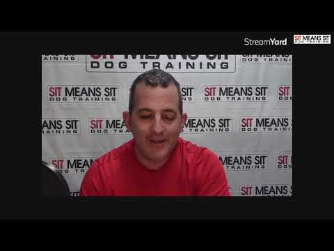 Video thumbnail: Is Your Dog “Anti-Social”? Understanding Dog Selectivity