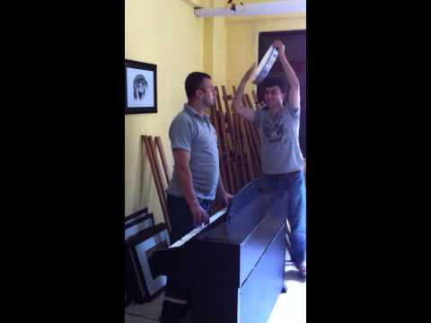 kral ve soytarıları