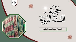 صورة حجيّة السنّة