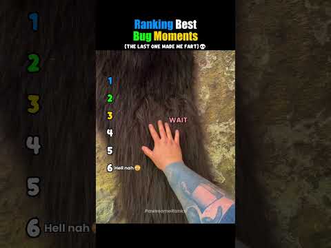 Ranking Best Bug Moments😳
