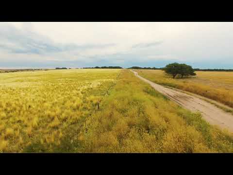 LA PAMPA - PAISAJES