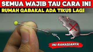 Download lagu Ternyata cuma begini, rumah SELAMANYA aman dari TIKUS !!! mp3
