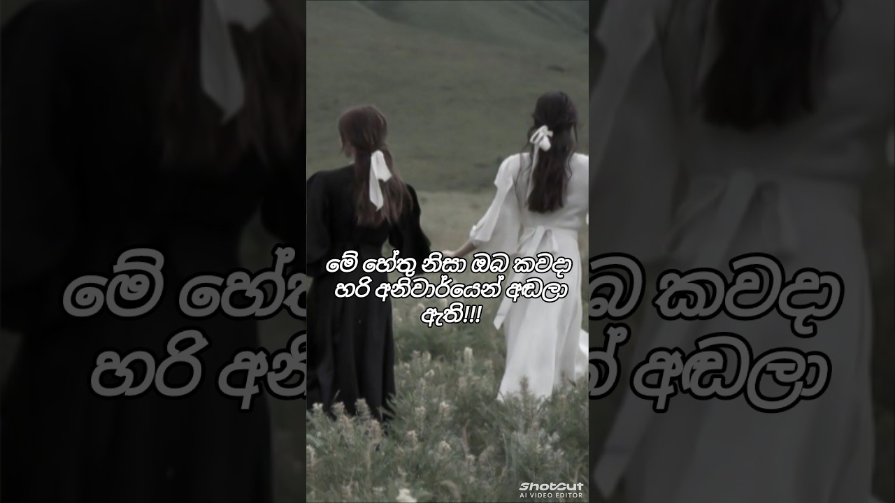 මෙතනින් කීයක් වෙනුවෙන්ද කියලා කමෙන්ට් කරගෙන යන්න 🫶🏻💕 #srilanka