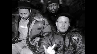 Company Flow - Lune TNS