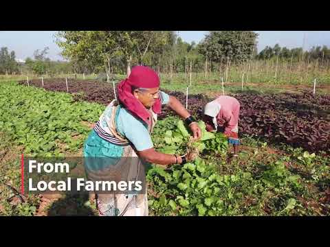 Farmizen - Organic Fruits & Ve video thumbnail