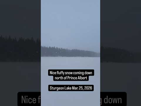 Fluffy snow at Sturgeon Lake Mar. 25, 2026