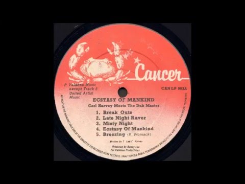Carl Harvey ‎- Ecstasy Of Mankind