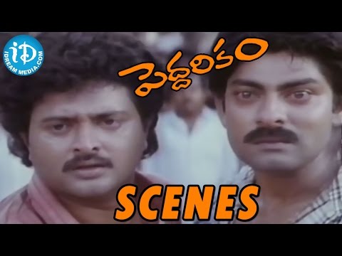 Peddarikam Movie Scenes - Vijayakumar And Rami Reddy Thrash Jagapathi Babu In Public || Sukanya