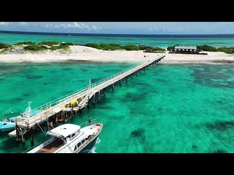 DJI 0520