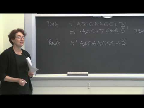 Lecture 3.5: Information Transfer in Biology  — Conclusion