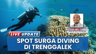 Gebrakan Baru Trenggalek di Sektor Bahari, Lakukan Konservasi Ekosistem Laut dengan Bioreeftek
