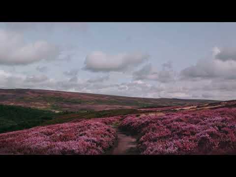 Heather On The Hill