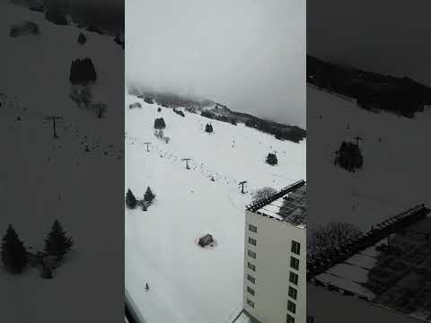 Naeba Prince Hotel and Resorts | Building 2 Ski Run and Mountain view