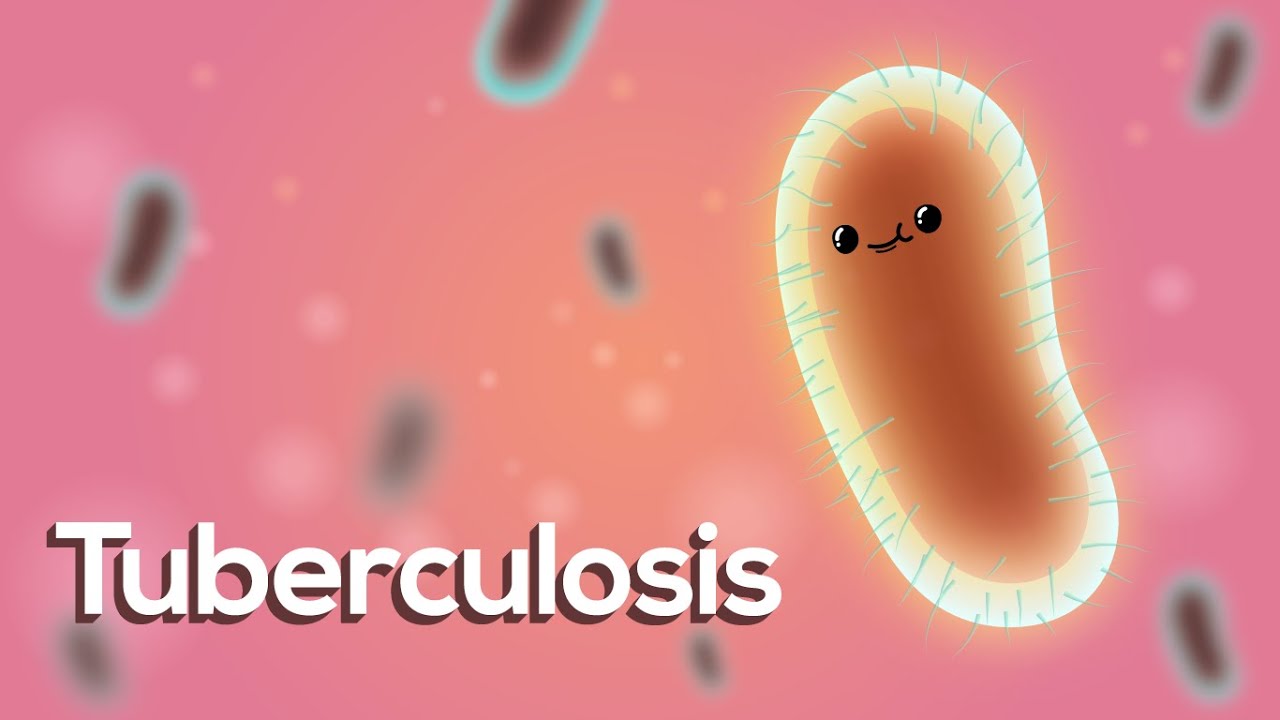 ¡La TUBERCULOSIS en menos de 10 minutos! - (Animación)