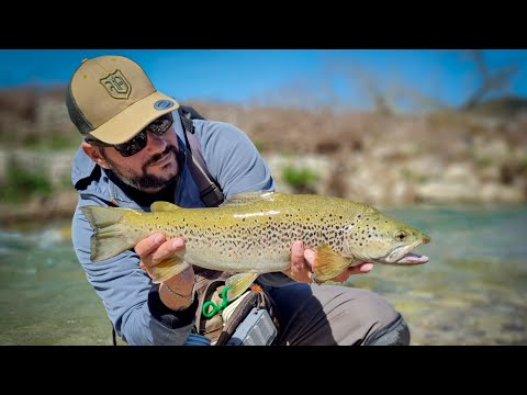 Strong Dry Fly action! 😃🫶🏽🎣