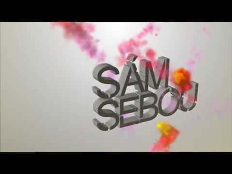 SámSebou - Sám Sebou - Prečo ťa mám rád - Lyric Video (Vlastnou cestou 2013
