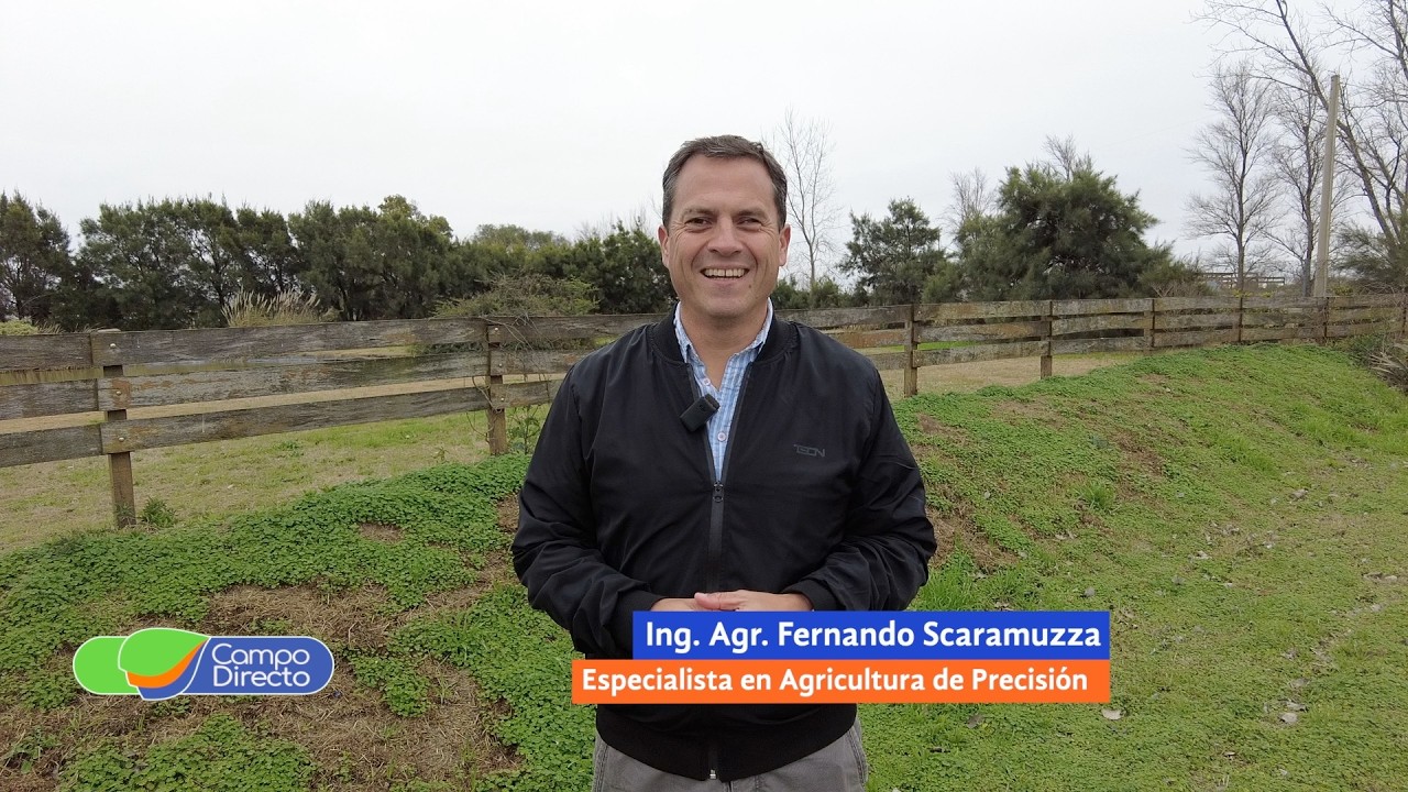 Campo Directo | Por qué la adopción de la aplicación selectiva sigue siendo baja