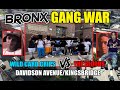 Bronx Gang War - The Wild Card Crips vs The 4z/Blood hound Brims & Umob - Davidson ave/Kingsbridge