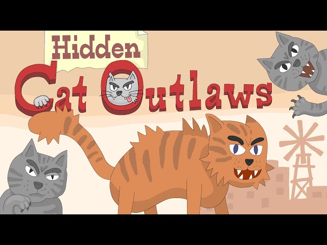 Hidden Cat Outlaws
