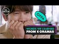 Words we learned from K-dramas [ENG SUB]