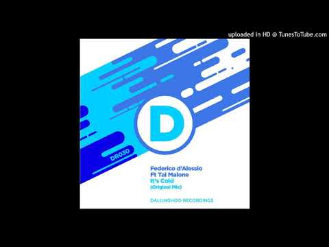 Federico d'Alessio ft Tai Malone - It's Cold