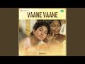 Vaane Vaane Lofi