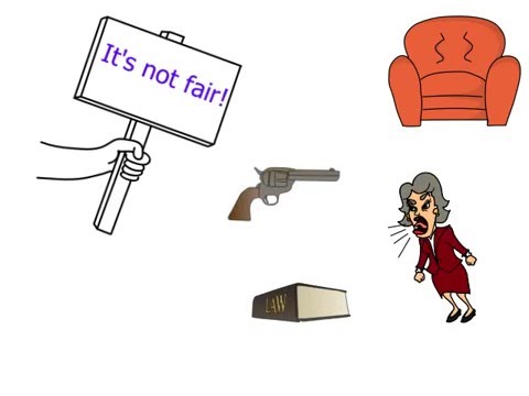 Wealth and Estate Law Group PLLC video.