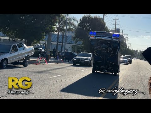 Majestics 50th Anniversary Tippin