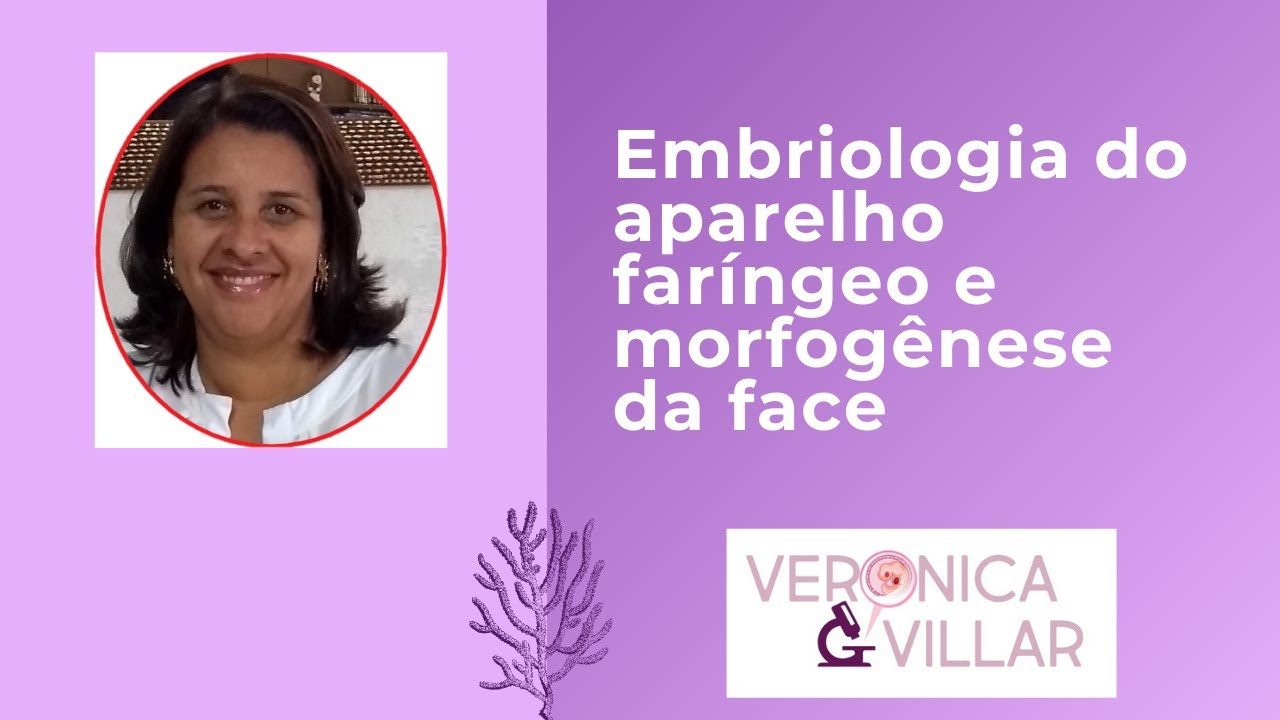Embriologia do aparelho faríngeo e morfogênese da face.