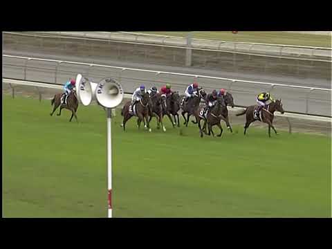 Race Replay: Matamata Race 5 - 23 February