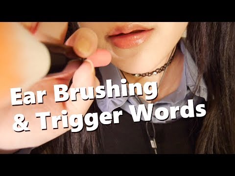ASMR 10 Ear and Face Brushing with Trigger Words