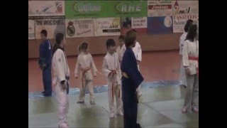 preview picture of video 'Entrenamiento Club Forum - Judo Promoción'