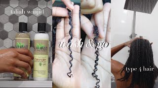 Wash&Go on Type 4 Hair - Using Taliah Waajid