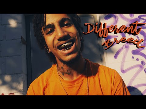 Kai Wolf - Different Breed [Official Music Video] Dir.🎥 Oli Scenes