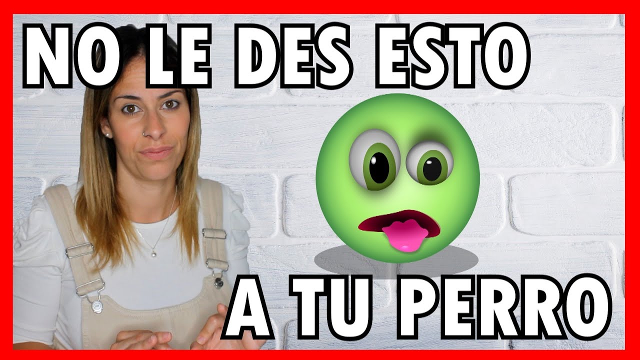 PIENSOS PARA PERROS 🐶 | Las 5 PEORES 👎 marcas que EXISTEN 🤢