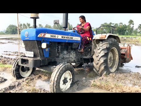 Tractor Trolley Hiring