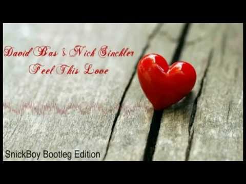 David Bas & Nick Sinckler - Feel This Love (SnickBoy Bootleg Edition)