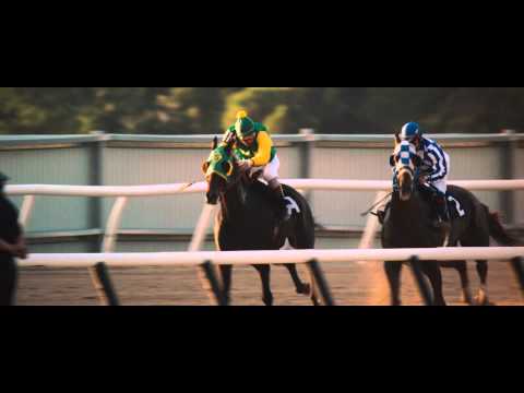 Secretariat (Clip 'Belmont Park')