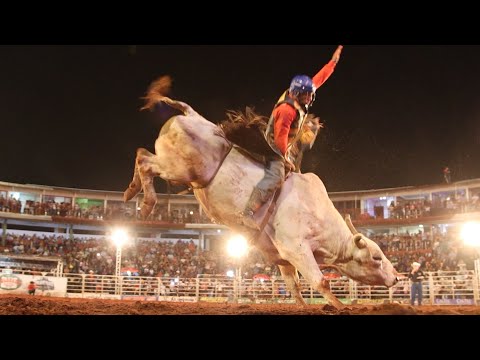 FINAL EM TOUROS - Rodeio de COLORADO 2023 (Oficial 4K)