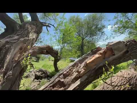 نەجمەدینی غوڵامی/ ئەتۆ پێت وایە من چۆنم بەبێ تۆ؟