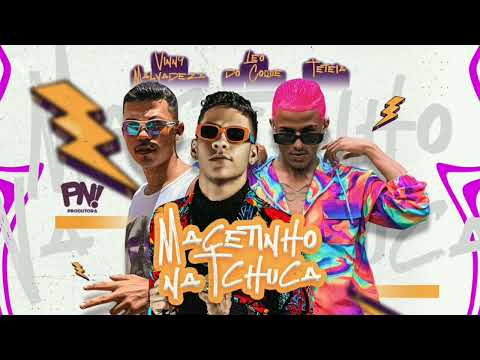 🔵 LÉO DO COQUE E VINNY MALVADEZA E TETEIA - MACETINHO NA TCHUCA - REMIX BREGA FUNK