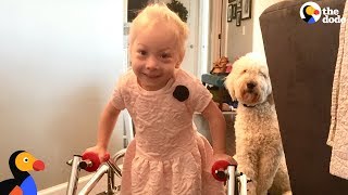 Dog Was SO Proud When Her Human Sister Finally Walked | The Dodo