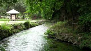 preview picture of video 'Comal Springs - New Braunfels, TX'