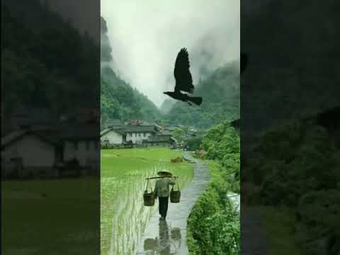 Kidung Wahyu Kolosebo (Ria Regita)