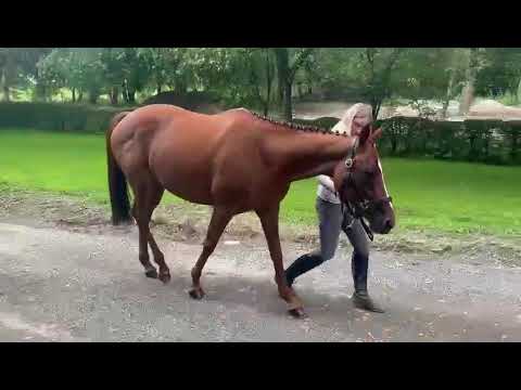 Video 1