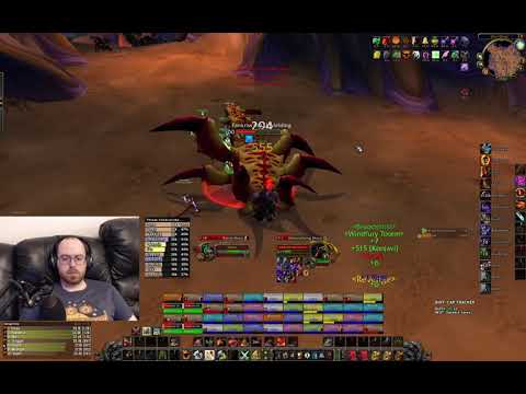 Ahn'Qiraj - Fankriss the Unyielding