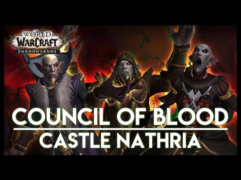 Castle Nathria 07 - Mythic The Council of Blood - Ret Paladin Pov - 06/10/2021