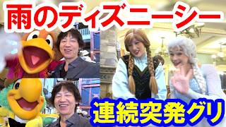 散策／雨でもサプライズキャラグリの連続！ 夏イベ終了直前のリアルレポ（2026-09 東京ディズニーシー）