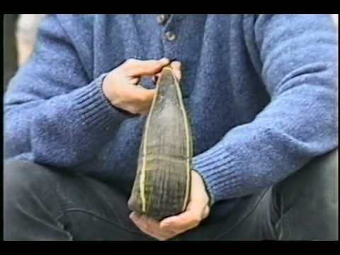 How to Construct the Asiatic Bow - Part 3/8 - DIY BOW MAKING